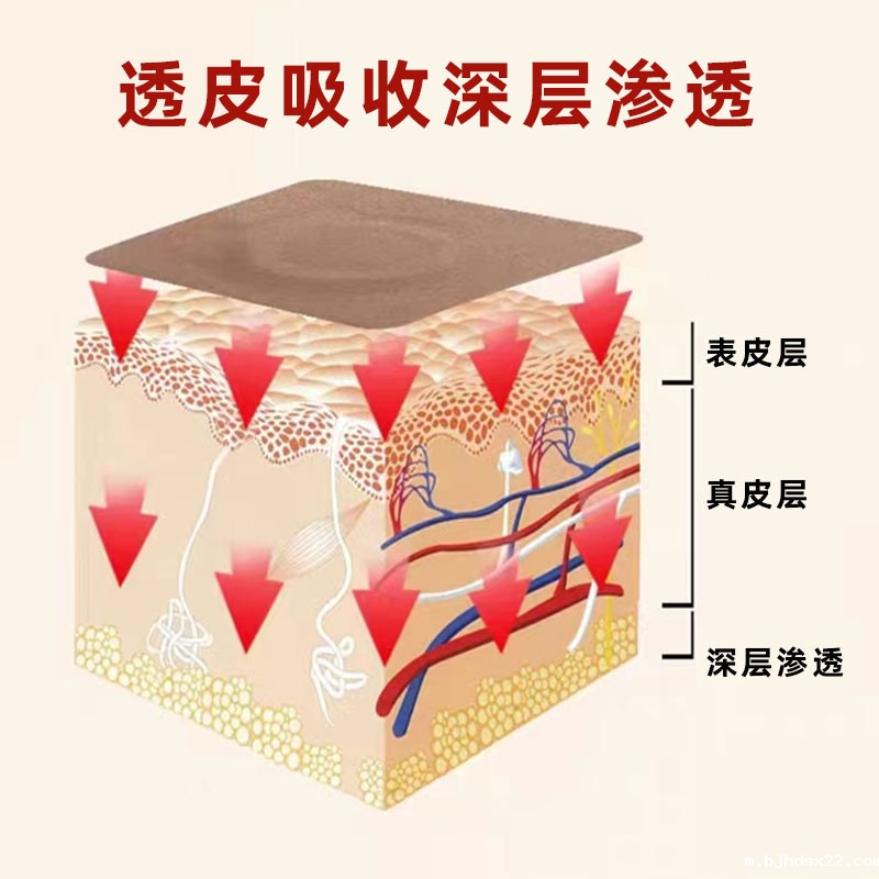 疝气贴可以直达皮肤深层快速吸收 疝气贴可以直达皮肤深层快速吸收