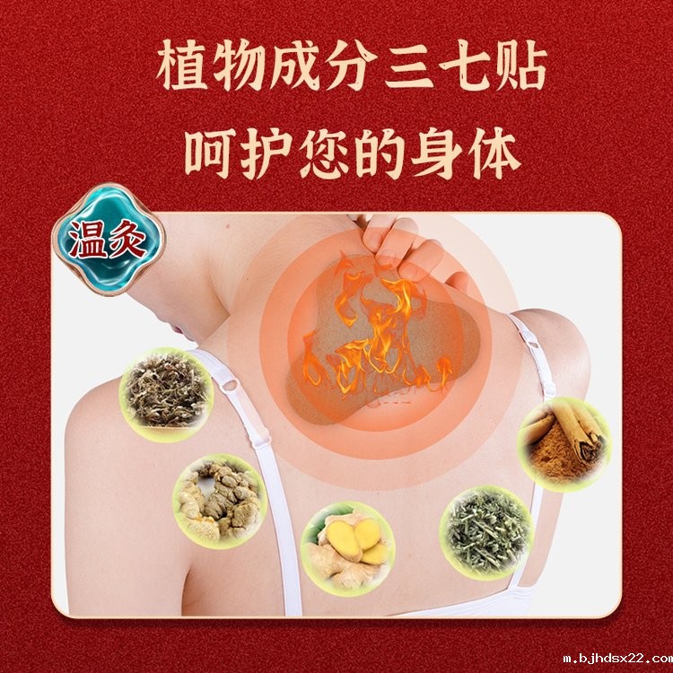 三七透骨贴成分 三七透骨贴成分