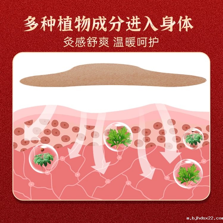 三七透骨贴作用 三七透骨贴作用