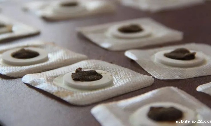 寻找三伏贴厂家?我们是您最佳的选择!