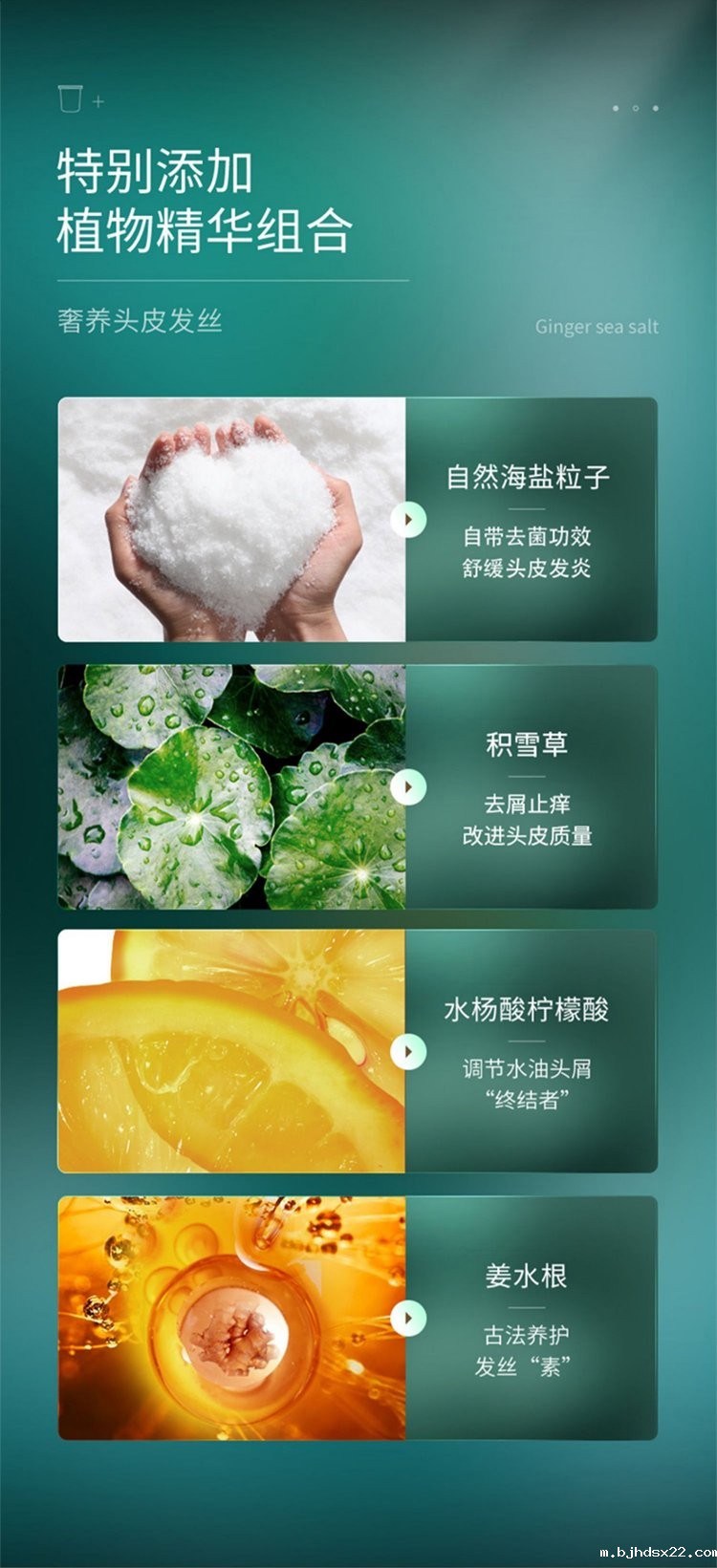 佰世修康洗发膏特别添加植物精华组合 佰世修康洗发膏特别添加植物精华组合