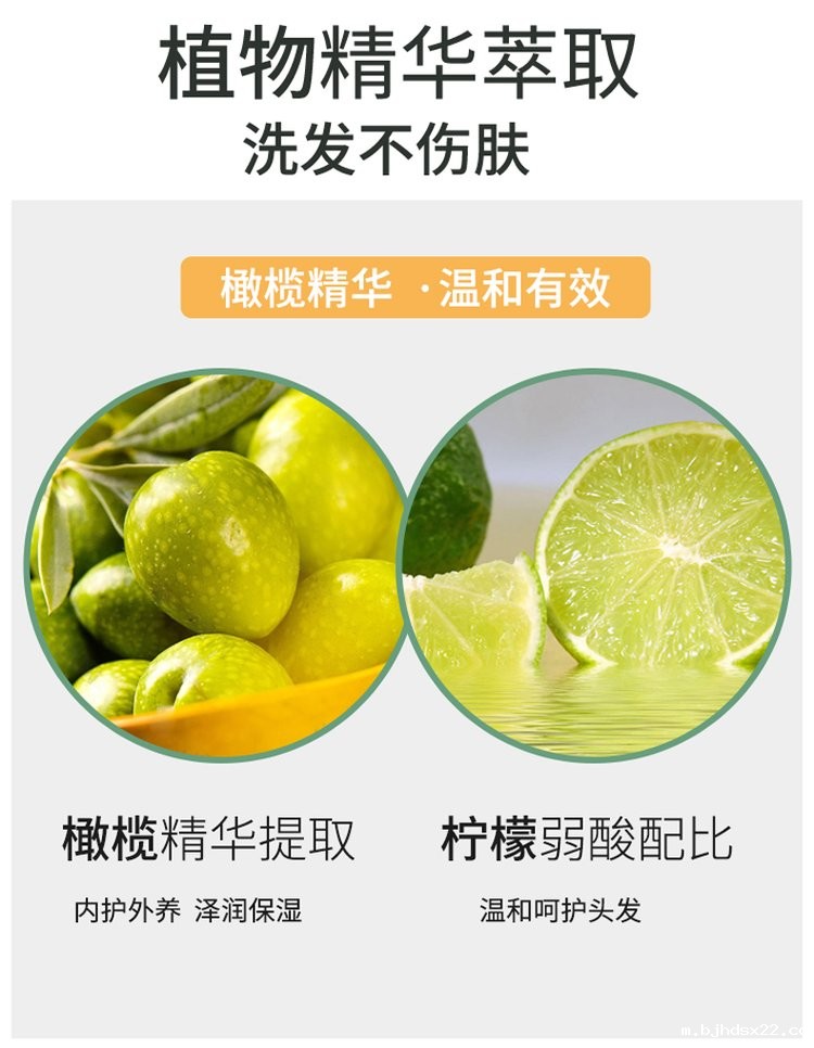 橄榄柔顺洗发沐浴露(图6) 洗发沐浴露成分表.jpg