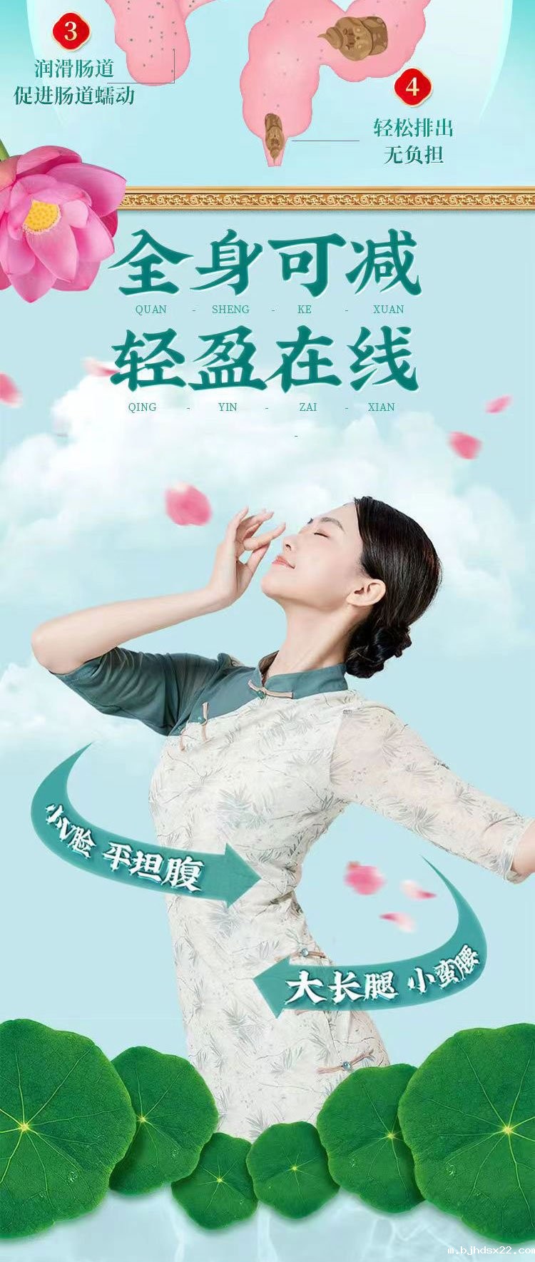 大肚茶(图3) 大肚茶全身可减轻盈在线