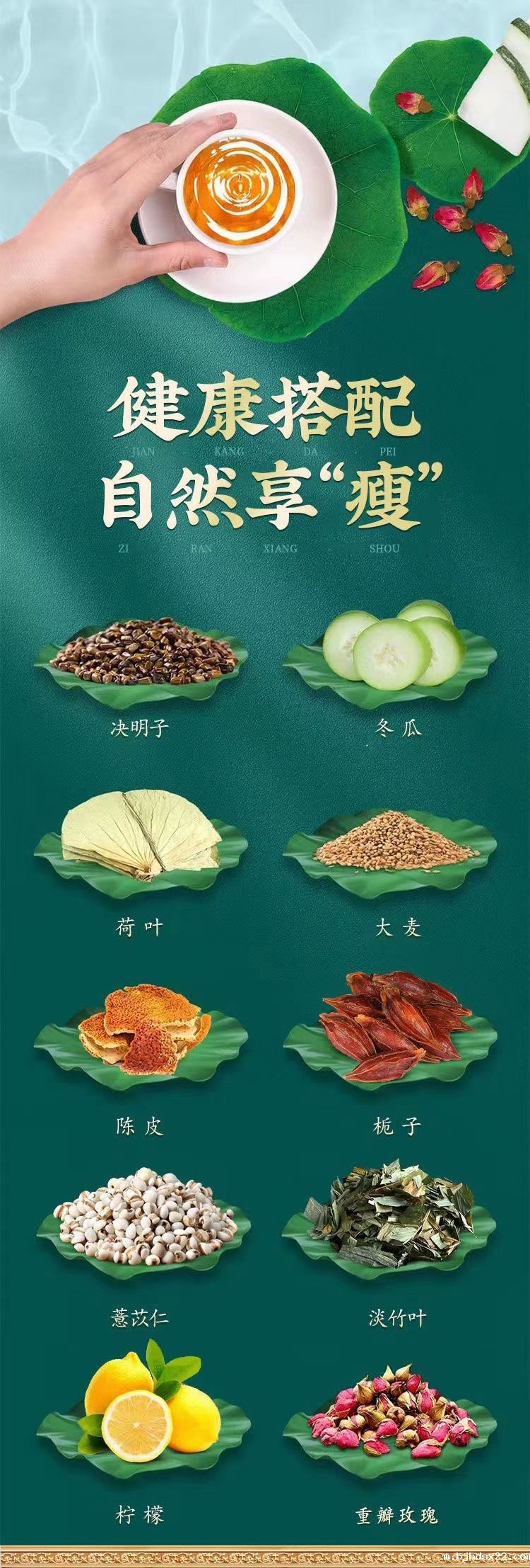 大肚茶(图4) 大肚茶10大成分