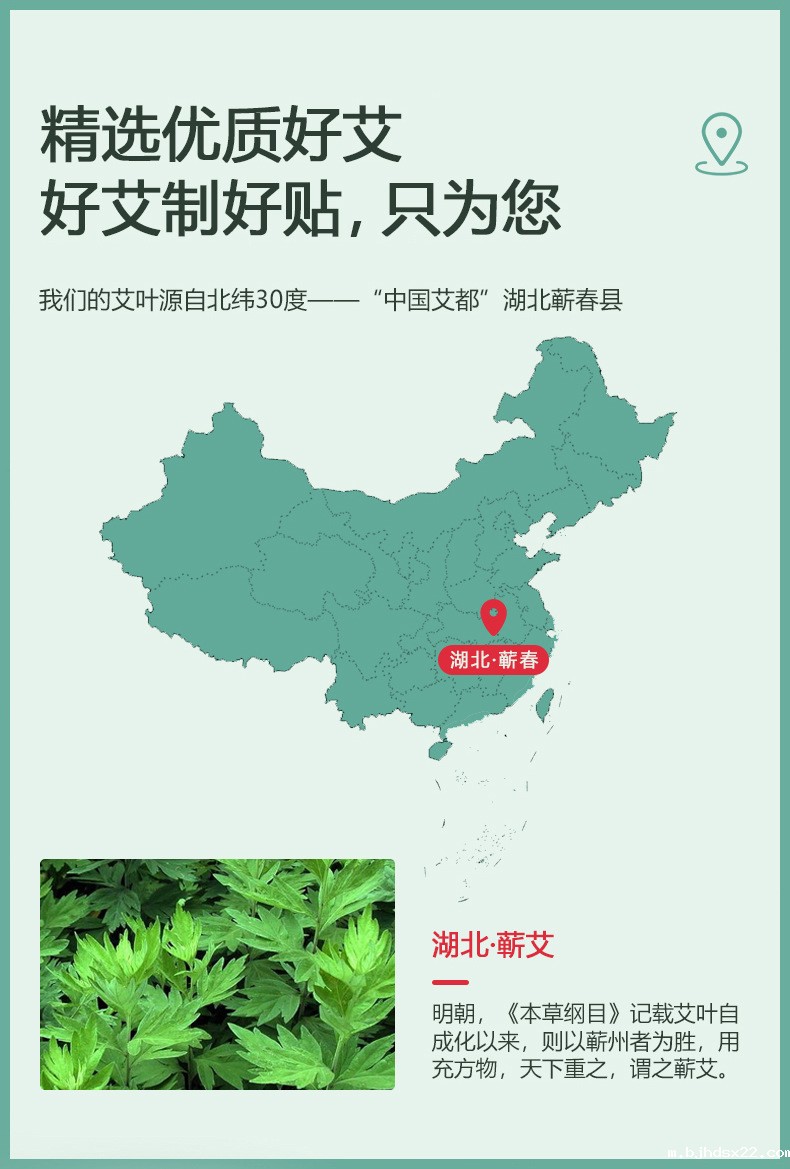 艾草颈椎贴(图4) 膏药代加工-艾草颈椎贴精选优质好艾叶-世预赛直播入口在线