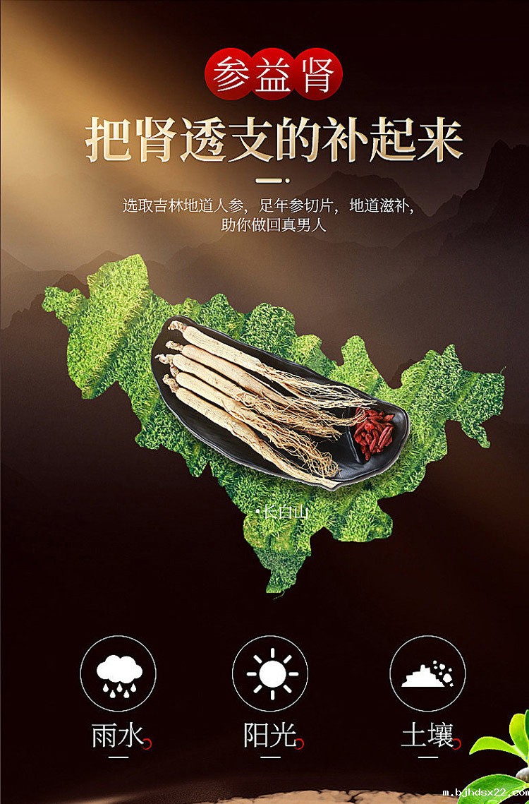 男人益肾五宝茶把透支的肾补起来 男人益肾五宝茶把透支的肾补起来