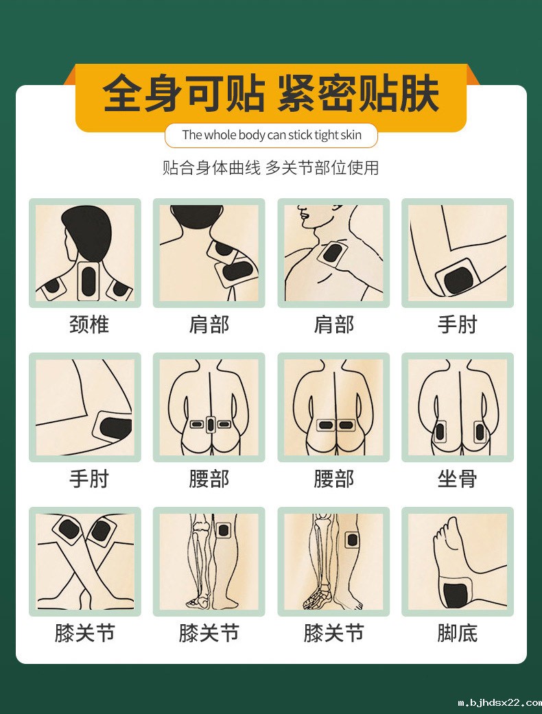 雪莲红花贴贴身体部位示意图