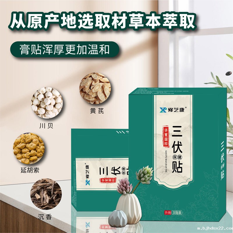 三伏贴草本萃取中药食材 三伏贴草本萃取中药食材