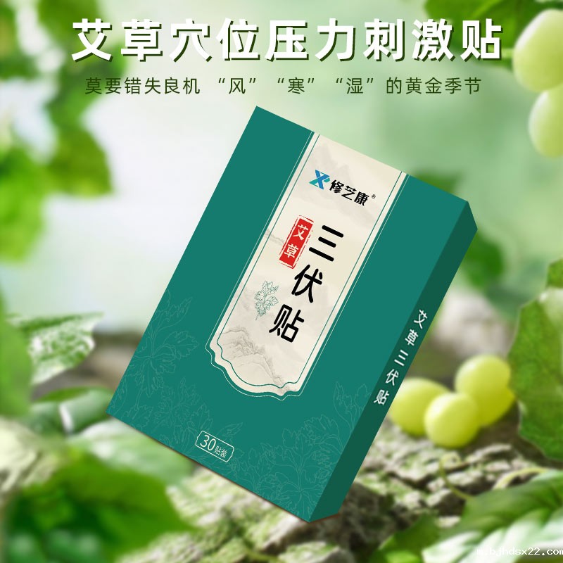 艾草穴位压力刺激贴 艾草穴位压力刺激贴