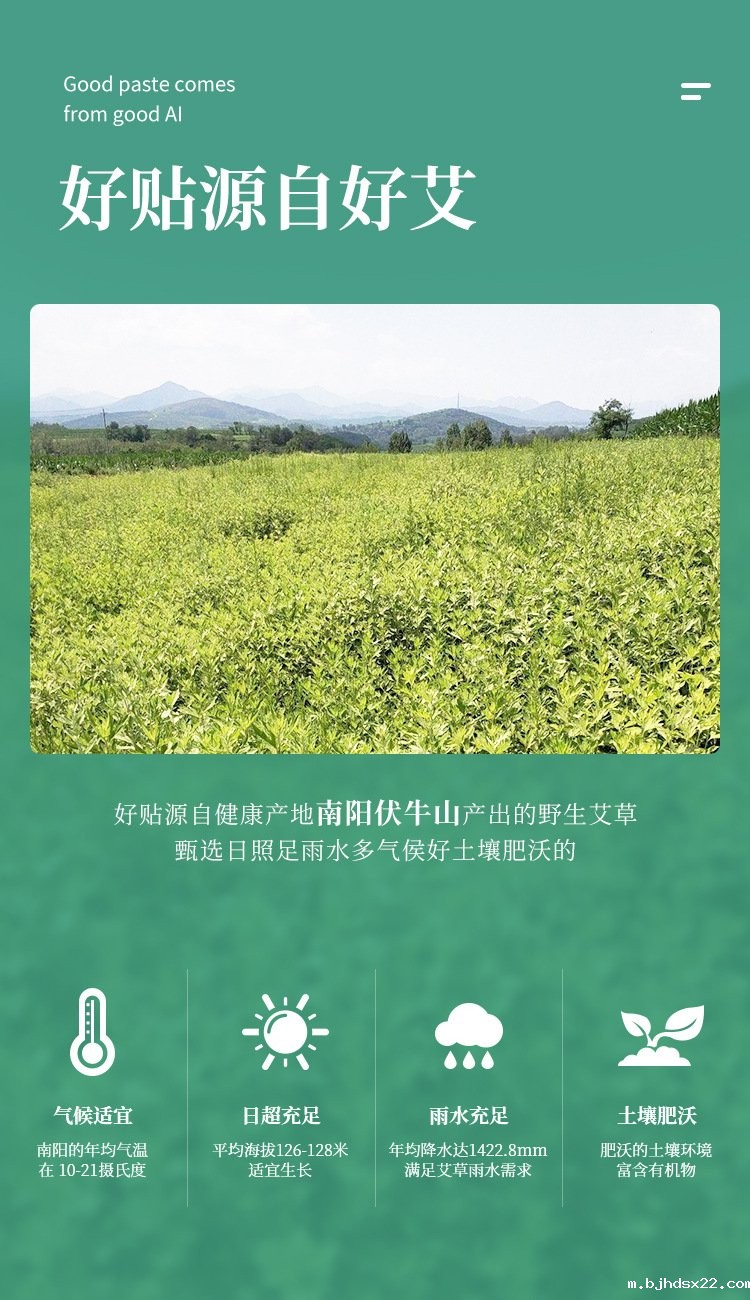 艾草瘦身贴采用优质原料 艾草瘦身贴采用优质原料